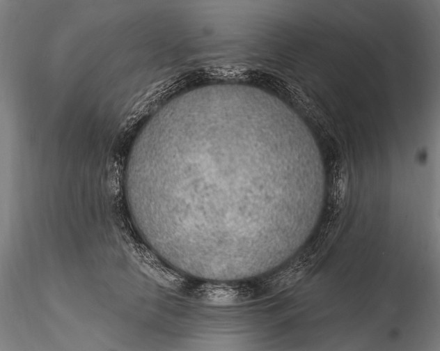X0000115610658200912011552
