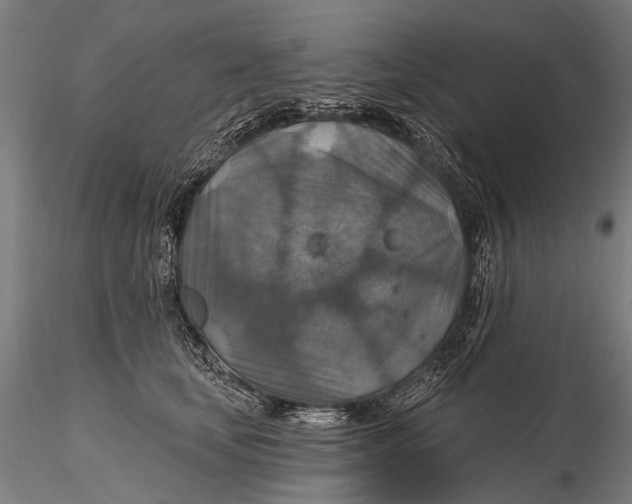 X0000115610659200912011552