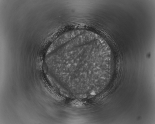 X0000115610661200912011552