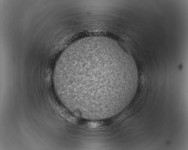 X0000115610662200912011552
