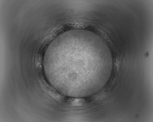 X0000115610663200912011552