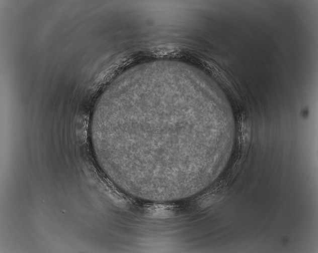X0000115610664200912011552