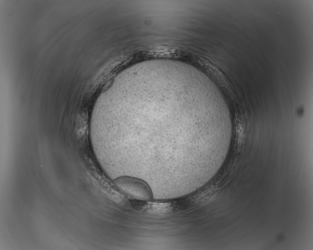 X0000115610665200912011552