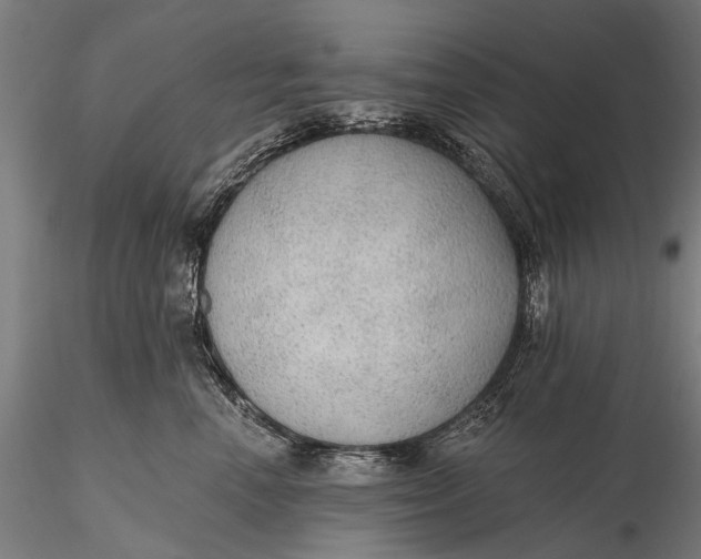 X0000115610666200912011552