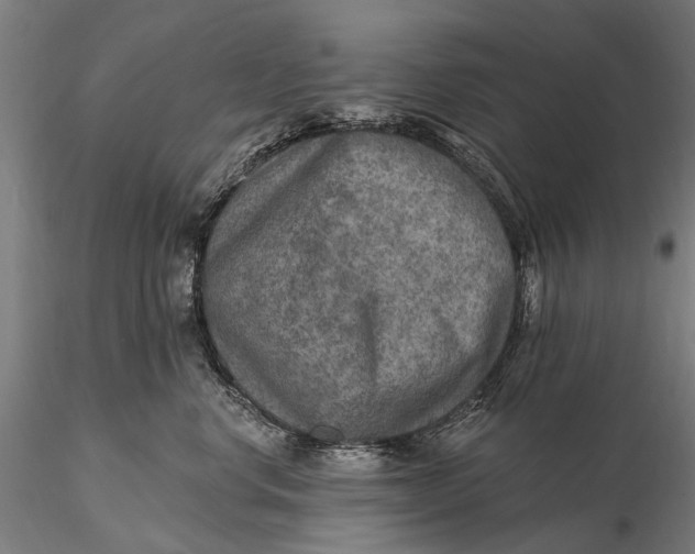 X0000115610668200912011552