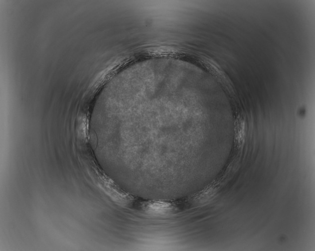 X0000115610669200912011552