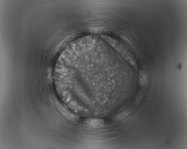 X0000115610670200912011552