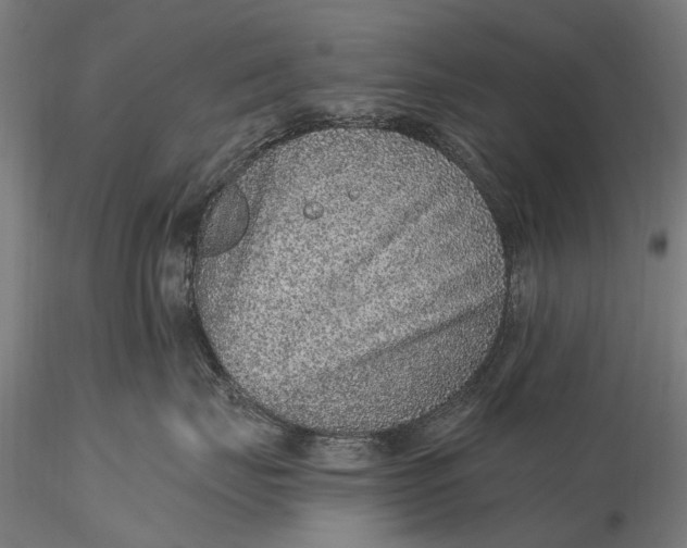 X0000115610671200912011552