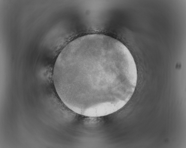 X0000115610672200912011552
