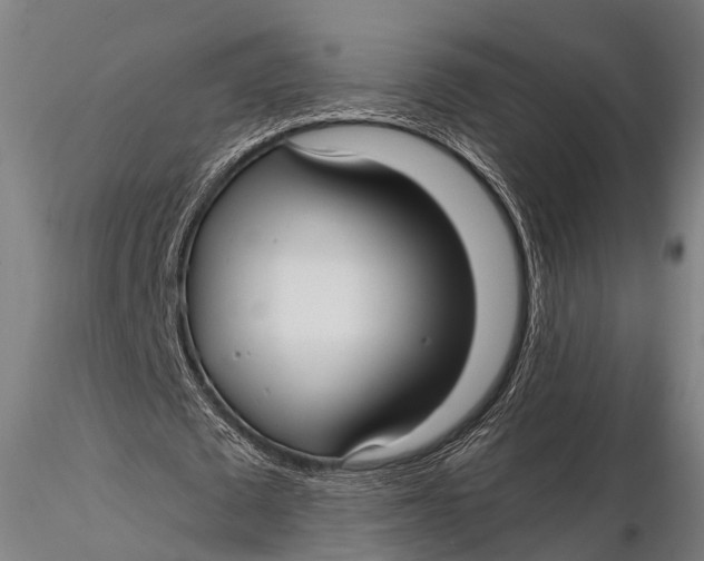 X0000115610673200912011552