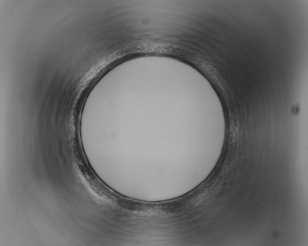 X0000115610674200912011552