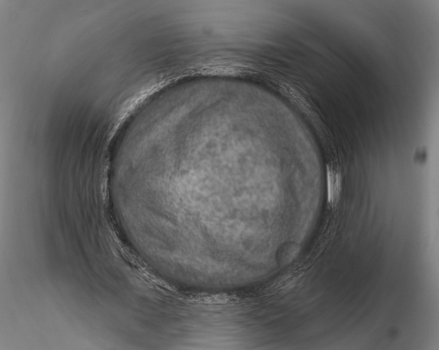 X0000115610675200912011552