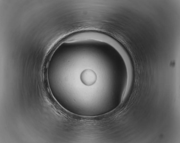 X0000115610676200912011551
