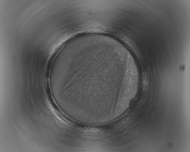 X0000115610677200912011551