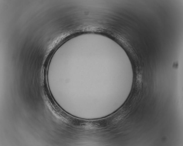 X0000115610678200912011551