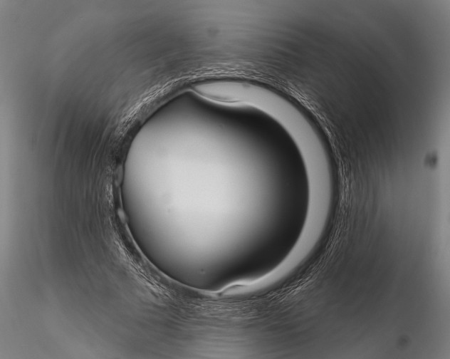 X0000115610681200912011551