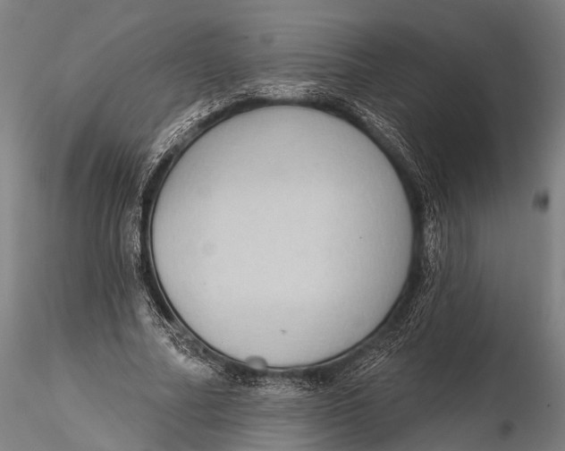 X0000115610682200912011551