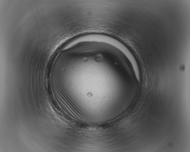 X0000115610684200912011551