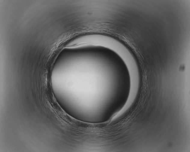 X0000115610685200912011551