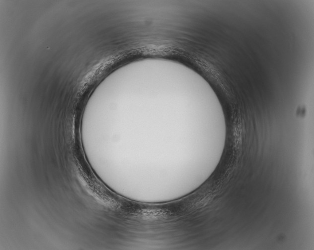X0000115610686200912011551