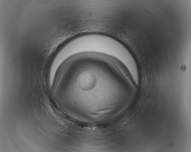 X0000115610688200912011551