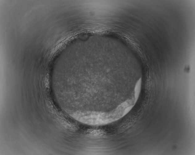 X0000115610689200912011551