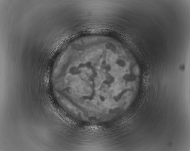 X0000115610691200912011551