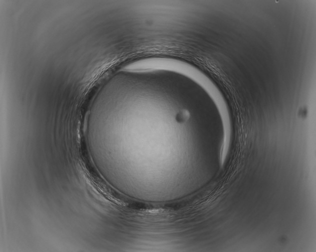 X0000115610692200912011551