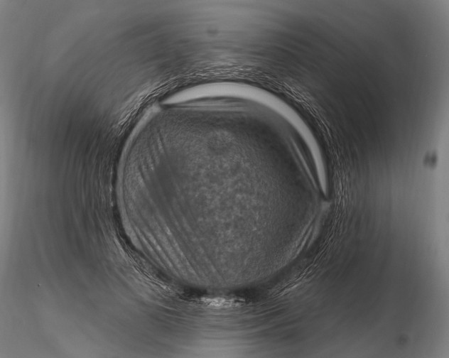 X0000115610693200912011551