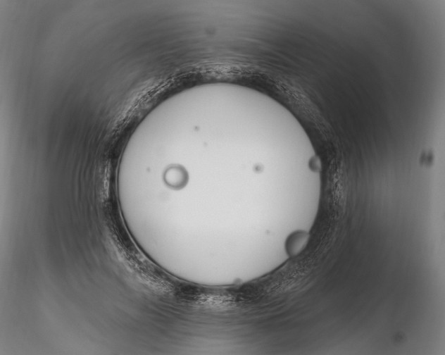 X0000115610694200912011551
