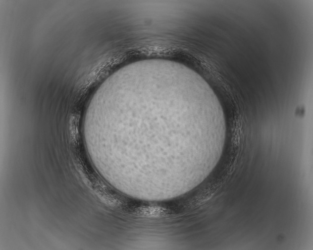 X0000115610695200912011551