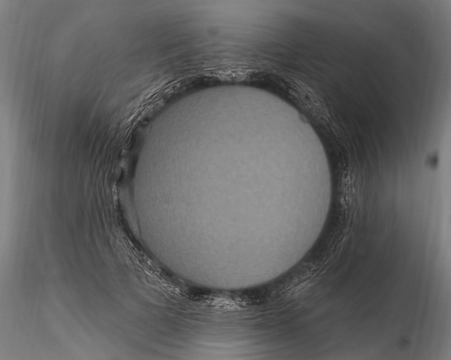 X0000115610697200912011551