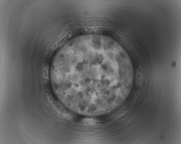 X0000115610699200912011551