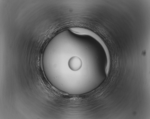 X0000115610700200912011551