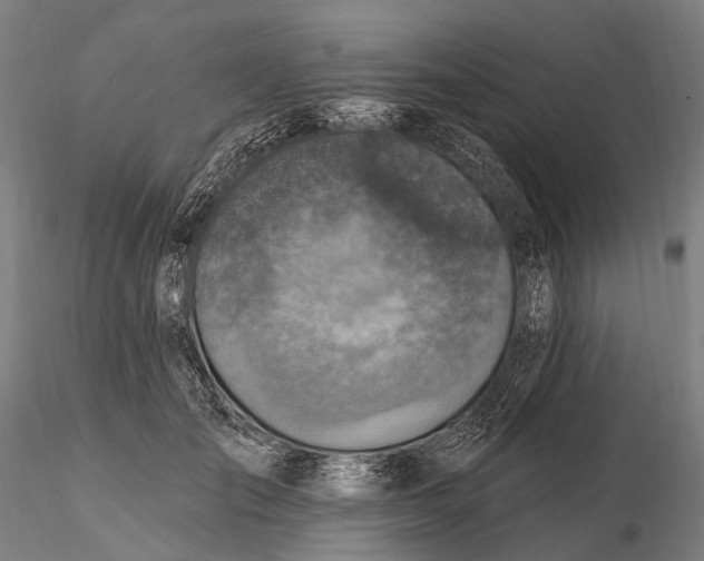 X0000115610701200912011551