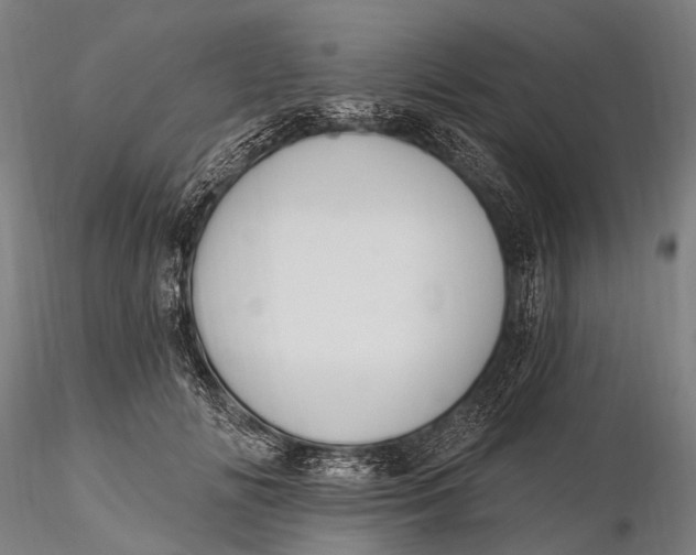X0000115610702200912011551