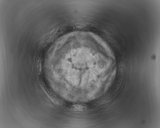 X0000115610703200912011551