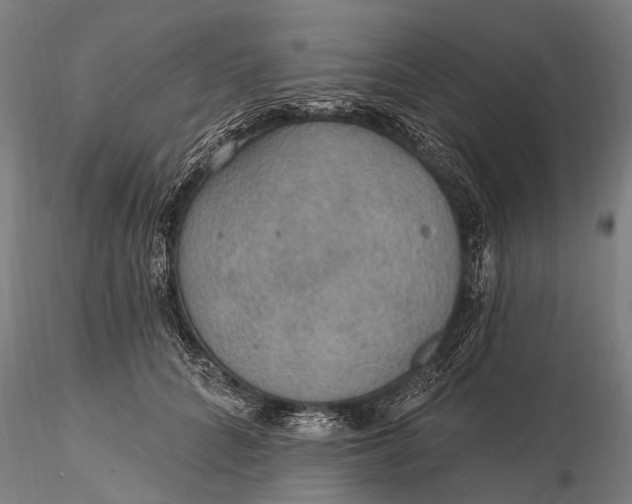 X0000115610704200912011551