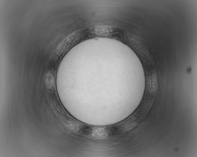 X0000115610705200912011551