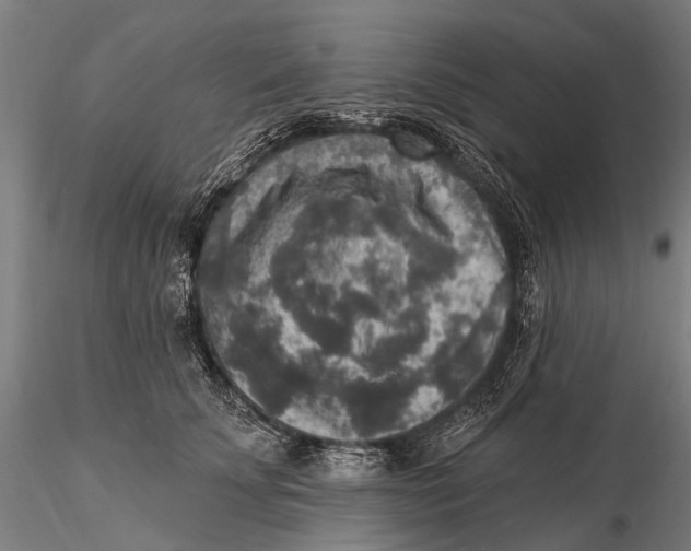 X0000115610707200912011551