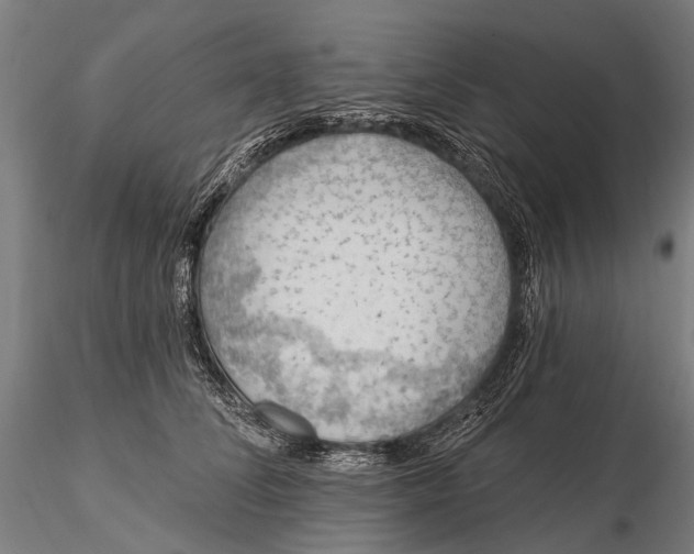 X0000115610708200912011551