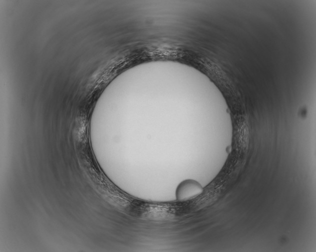 X0000115610709200912011551
