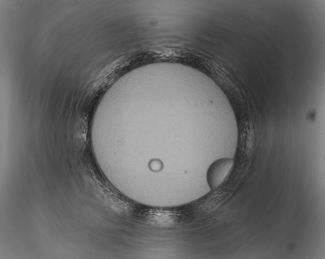 X0000115610710200912011551