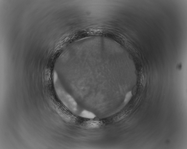 X0000115610711200912011551