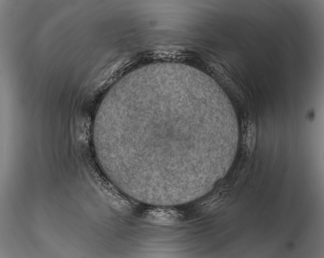 X0000115610712200912011551