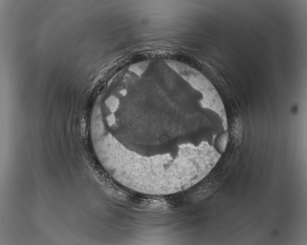 X0000115610715200912011551