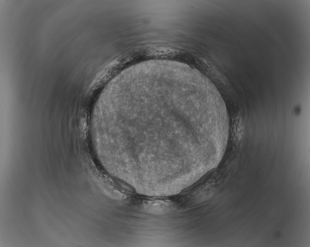 X0000115610716200912011551
