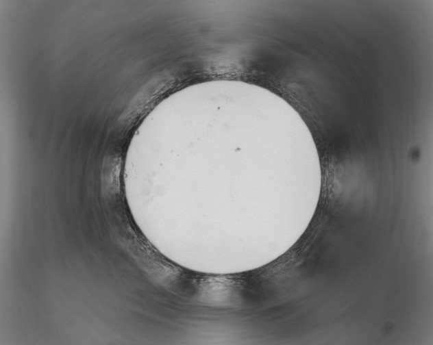 X0000115610717200912011551