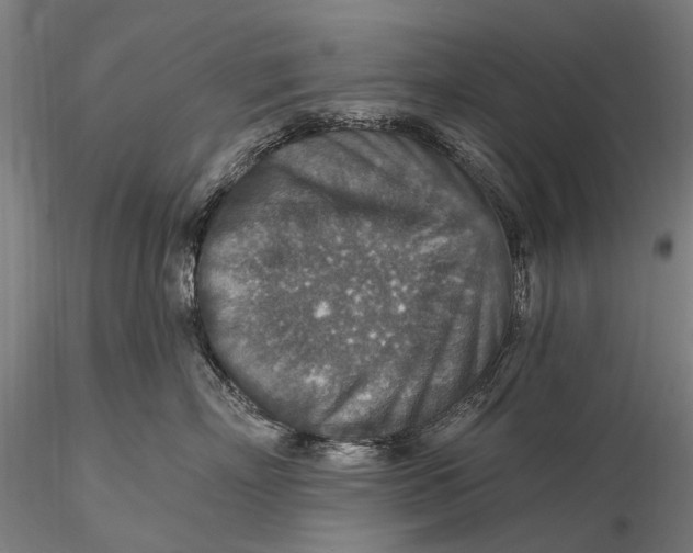 X0000115610718200912011551