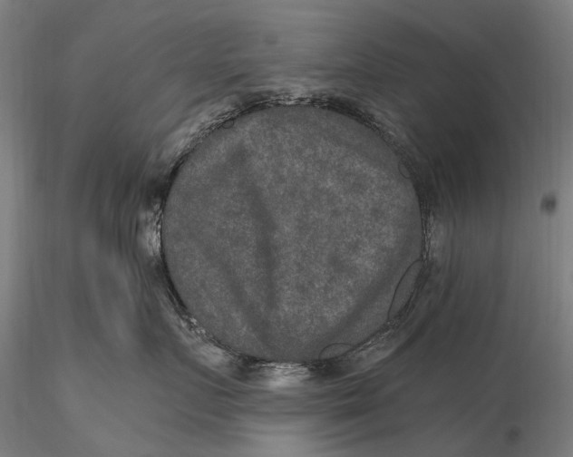 X0000115610719200912011551